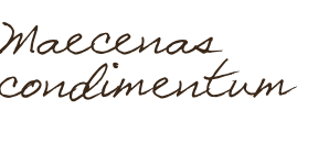 Maecenas condimentum 